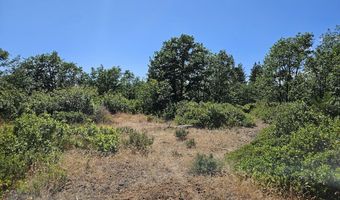 67 TIMBER Ln, Bickleton, WA 99322