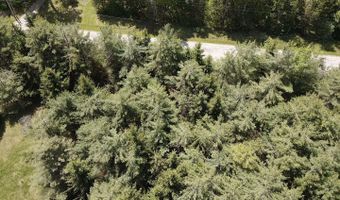 LOT 3 E WEST RESORT ROAD, Alanson, MI 49706