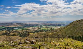 0 Pine Acres, Bellvue, CO 80512