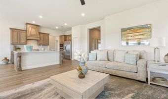 2005 Amber Gate Dr, Anna, TX 75409