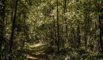 State Rd 121, Alachua, FL 32615