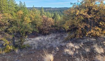 605 PINE CREEK Rd, Bickleton, WA 99322