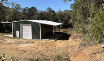 1011 Granny Hollar Rd, Atkins, AR 72823