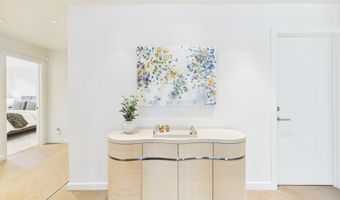 506 W Hallam St, Aspen, CO 81611