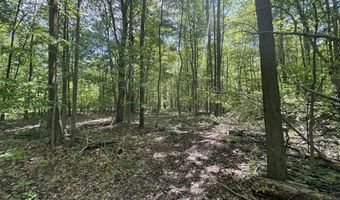 V/L 43.5A 104th Avenue, Allegan, MI 49010