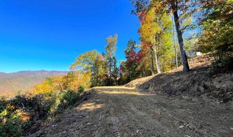 35 36 Cahill Dr 35&36, Andrews, NC 28901