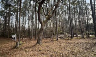 0 Ashe Brown Rd, Adams Run, SC 29426