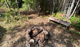 18 62 Ac Squirrell Hollow Rd, Alberta, VA 23821