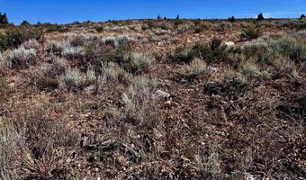 29 Northern Lights Rd, Bancroft, ID 83217