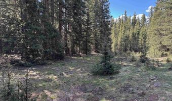 Lot 74 Happy Way, Angel Fire, NM 87710