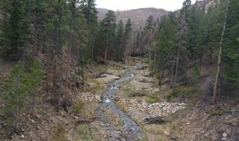 122 Black Hollow Rd, Bellvue, CO 80512