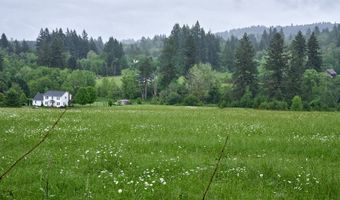 NE 389th St, Amboy, WA 98601