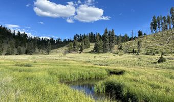17 County Road 2114, Alpine, AZ 85920