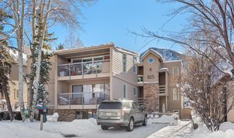 825 E Hopkins Ave 2S, Aspen, CO 81611