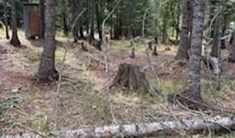 Lots 35 & 36 Dolly Vardon, Bayview, ID 83803