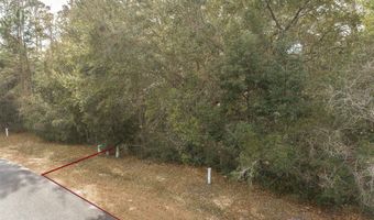 114 Bay Colony Way, Apalachicola, FL 32320