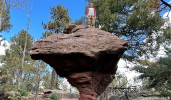 705 NM-120, Angel Fire, NM 87710