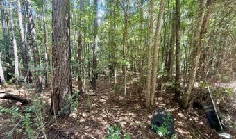 Norman Trail NW, Brookhaven, MS 39601