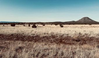 90 C Volcano Trl, Ash Fork, AZ 86320