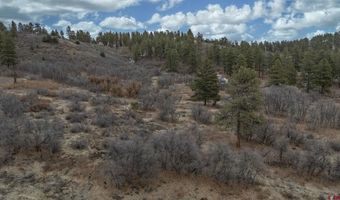 TBD Lot 8 Beaver Creek Ranch Drive, Bayfield, CO 81122