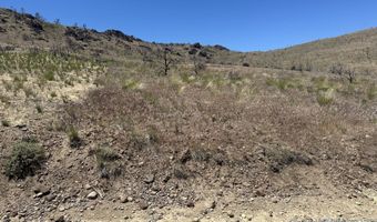 930 Cavelti Rd, Gardnerville, NV 89410