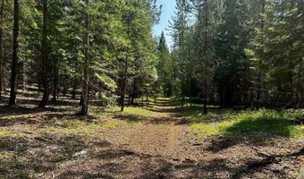Kreiger Creek Rd, Careywood, ID 83809