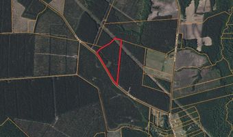 Tuten Road, Aurora, NC 27806