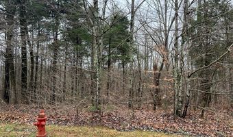 Cornerstone Pkwy lot 2 & 3, Allons, TN 38541