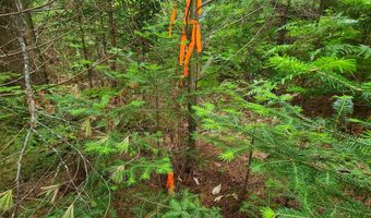 Map 14 lot 50, Andover, ME 04216