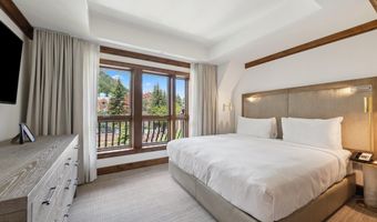 415 E Dean St Unit 36 Week 33, Aspen, CO 81611