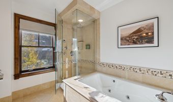 415 E Dean St # 47 Weeks 51/52, Aspen, CO 81611