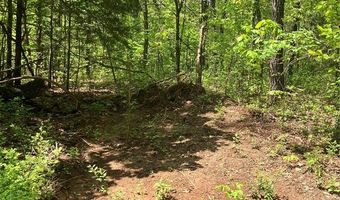 0 County Road 224, Alton, MO 65606