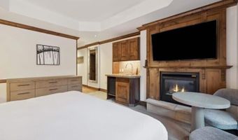 415 E Dean St Unit 10 Weeks 51 + 52, Aspen, CO 81611