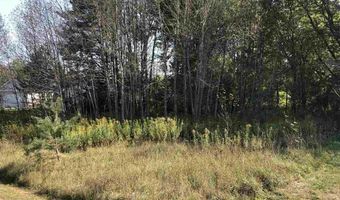 6430 6648 Admirals Point Drive Lot 9 Boat Slip 142, Alanson, MI 49706