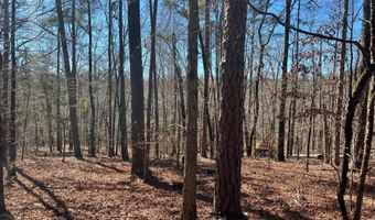 2369 Pine Ridge Dr, Appling, GA 30802