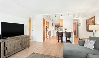 1021 VINE St, Aspen, CO 81611