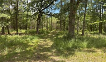 Beltline Drive, Brookhaven, MS 39601