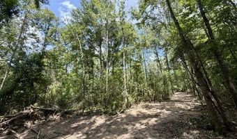 SE Lee Drive, Bogue Chitto, MS 39629