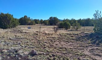 22 N 8171, Concho, AZ 85924