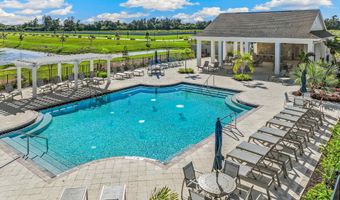 521 Mangrove Shade Cir, Apollo Beach, FL 33572