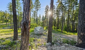 74 Trails End Ct, Bigfork, MT 59911