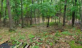 V/L 20AC Monaghan Point Road, Alpena, MI 49707
