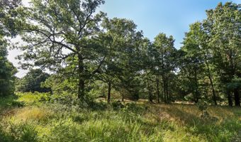 Private Drive Off Of Fr 1245, Aurora, MO 65605