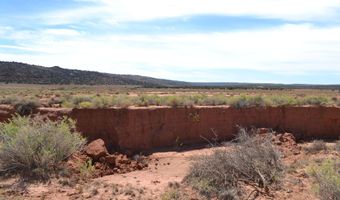 N8577 18, Concho, AZ 85924
