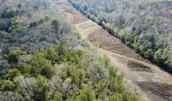 County Road 72, Ariton, AL 36311