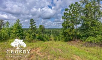 0 Hadden Pond Rd, Avera, GA 30803