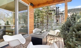 204 N Monarch St, Aspen, CO 81611