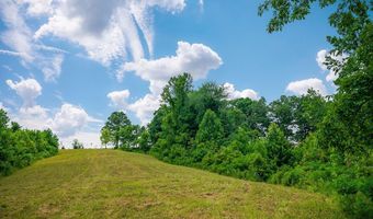 15 Acres Willow Grove Hwy, Allons, TN 38541