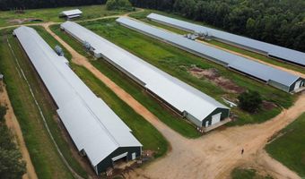 1613 N Bradley 8 Rd, Banks, AR 71631