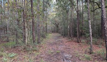 Lower Bay Road, Bay St. Louis, MS 39520